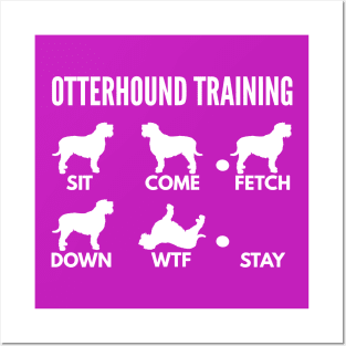 Otterhound Training Boxer Dog Tricks Posters and Art